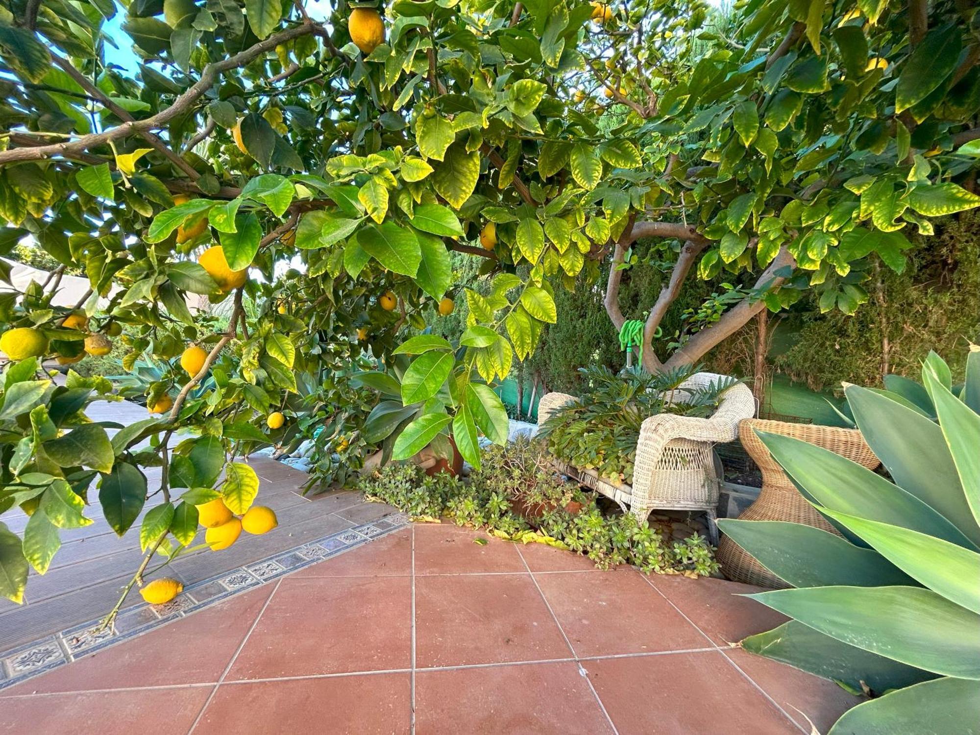 Casa Luna Llena กัลเป ภายนอก รูปภาพ
